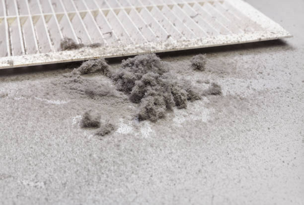 Best Local Air Duct Cleaning Services  in Smiths Station, AL